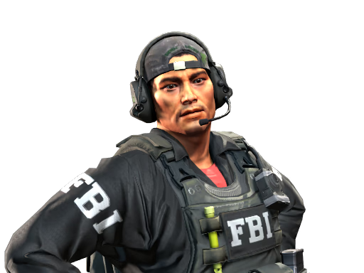 CS2 Skin 15