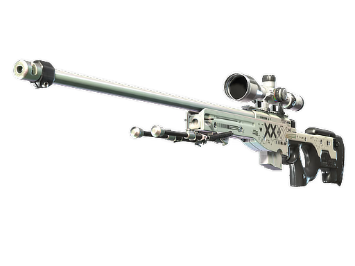 CS2 Skin 10
